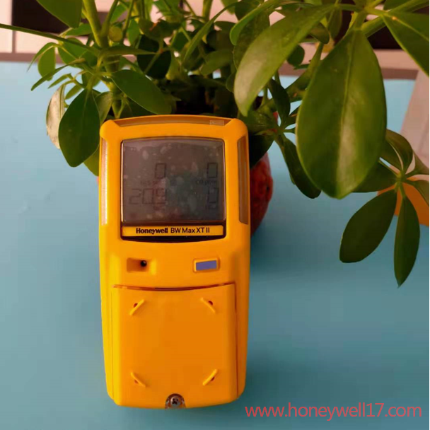 fGasAlertMax XT II ĺһzyx
